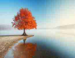 免‍费​AI写‍作‍系‍统​